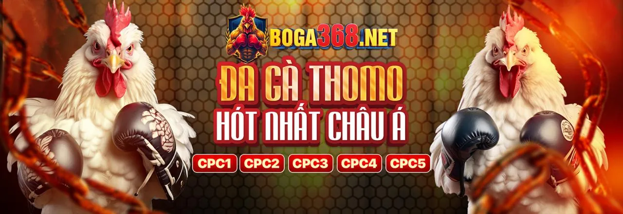 Mẹo Cá Cược Thể Thao hello8849